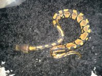 20130212_214737.jpg