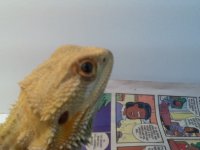 IMG_1121.jpg