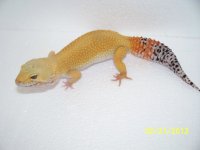 availabe 021.jpg