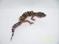 availabe 011.jpg