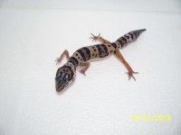 availabe 014.jpg