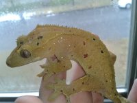 20130223114251.jpg