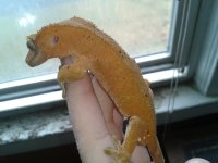 20130223114147.jpg