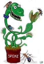 flytrap-lb.jpg