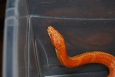 DSC_0005.jpg