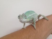 nosy be sale 2.jpg