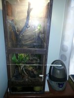 frog tank.jpg frog tank.jpg