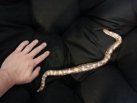 20130406_131859.jpg