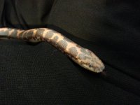 20130406_131751.jpg
