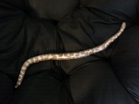 20130406_131848.jpg