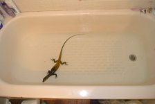 DSC_1635.jpg