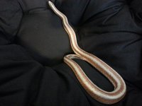 20130406_131312.jpg