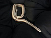 20130406_131230.jpg