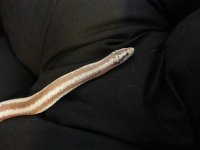 20130406_131147.jpg