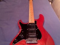 fernandes 3.jpg