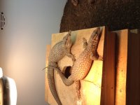 IMG_0869.jpg