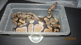 all collection sale 014.jpg