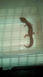 IMG_20130424_184551_671.jpg