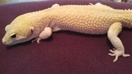 IMG_20130201_143408_033.jpg