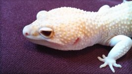 IMG_20130201_143321_138.jpg