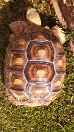 IMG_20130504_173121_525.jpg