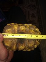 IMG_20130202_143424.jpg