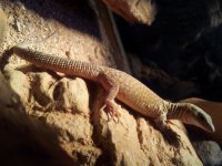 20130504_155623.jpg