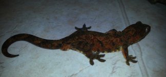 20121107_145808-1.jpg