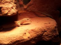 20130504_155406.jpg