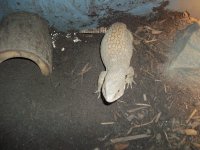 100_1026.jpg