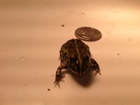 i phone pics 012.jpg