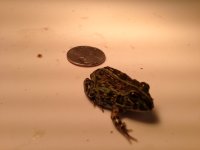 i phone pics 013.jpg
