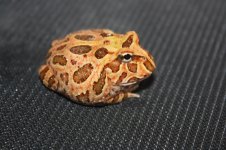 IMG_1963.jpg
