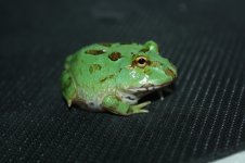 IMG_1956.jpg