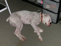 DSCN7061.JPG