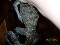 100_2273.jpg