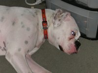 DSCN7062.JPG