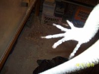 100_2271.jpg