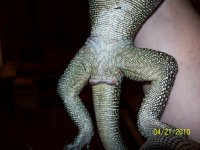100_2279.jpg