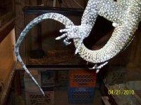 100_2272.jpg