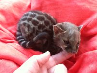 photo (20).JPG
