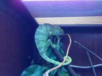 i phone pics 038.jpg