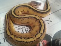20121129_122806.jpg