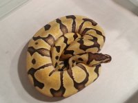 20121025_160845.jpg