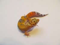 B01-3Month_zps30c0f758.jpg