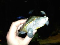 IMG_1834.jpg