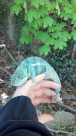 IMG_20130505_132432_577.jpg