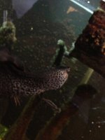 IMG_1838.jpg