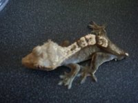 DSC02255.jpg