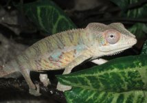 IMG_1988.jpg